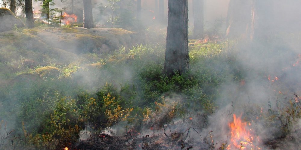 Medidas Preventivas contra os incendios forestais