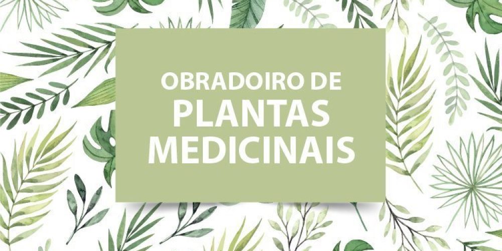 OBRADOIRO DE PLANTAS MEDICINAIS